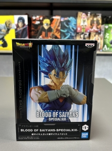 Vegito Super Saiyan Blue -BLOOD OF SAIYANS SPECIALXIX